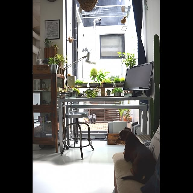 003さんの実例写真
