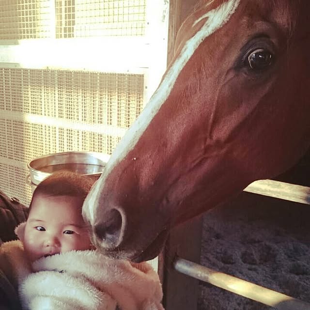 実例写真