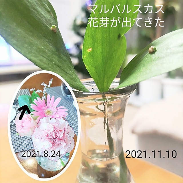 love1017さんの実例写真