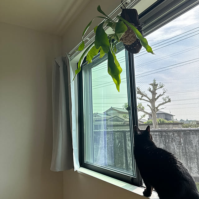 kuromiさんの実例写真