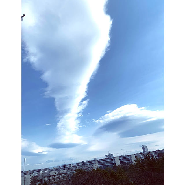 syutmmさんの実例写真
