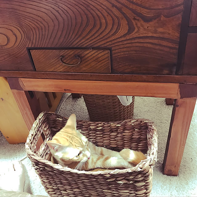 tornadeさんの実例写真