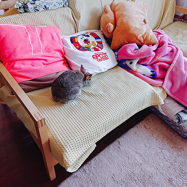 kikiさんの実例写真