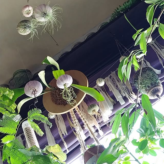 hiro3さんの部屋