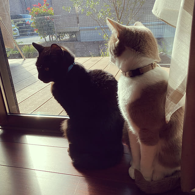 taakoさんの実例写真