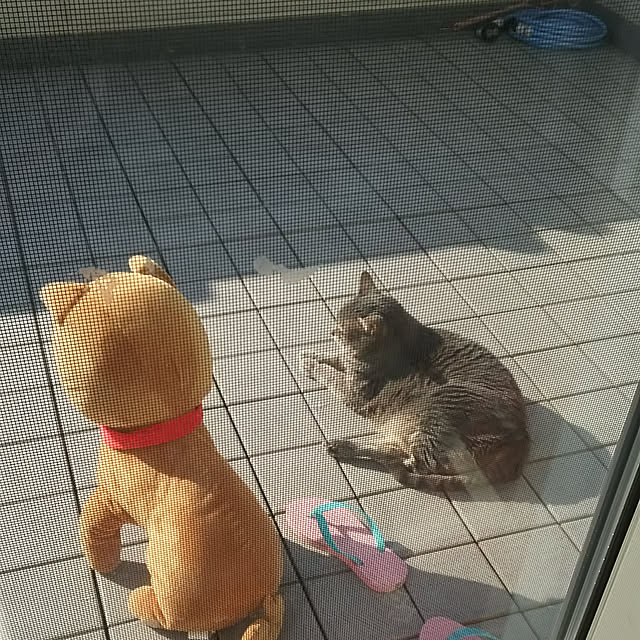 kingさんの実例写真