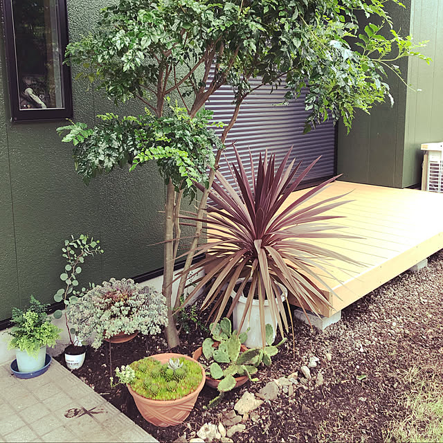 リノベーション/観葉植物/多肉植物/玄関/入り口のインテリア実例 - 2021-08-20 00:00:35