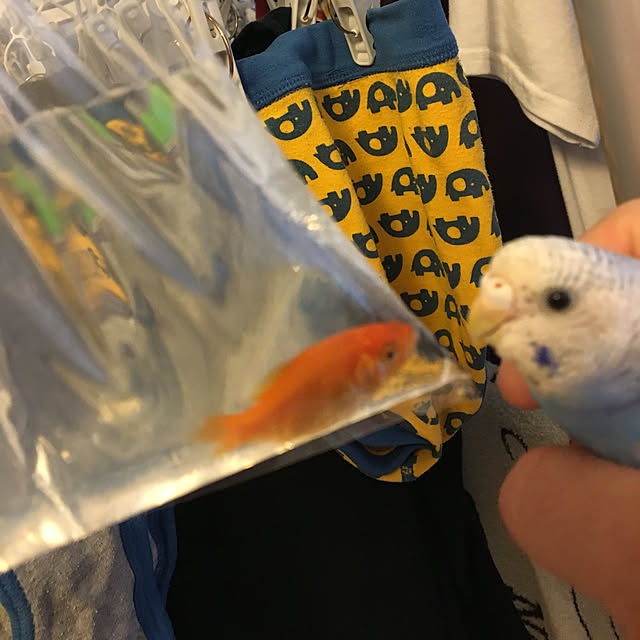 ohanaさんの実例写真