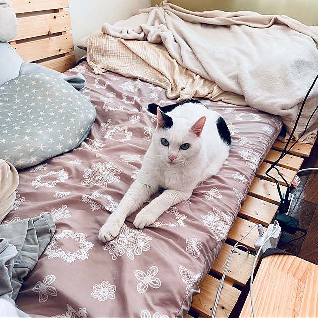 YUKAさんの部屋
