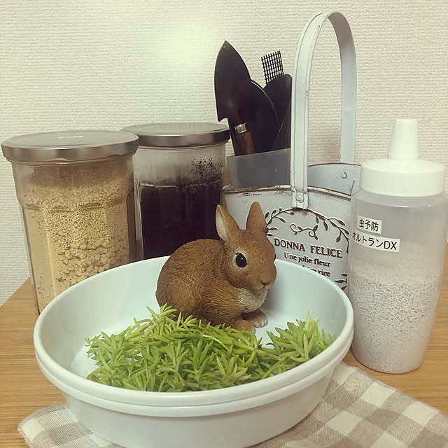 haruさんの実例写真