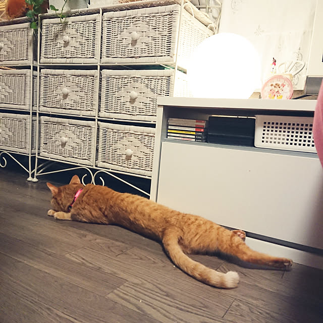 asuminさんの実例写真