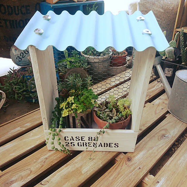 多肉植物 屋根付きのおしゃれなアレンジ・飾り方のインテリア 多肉植物 屋根付きのおしゃれなアレンジ・飾り方のインテリア