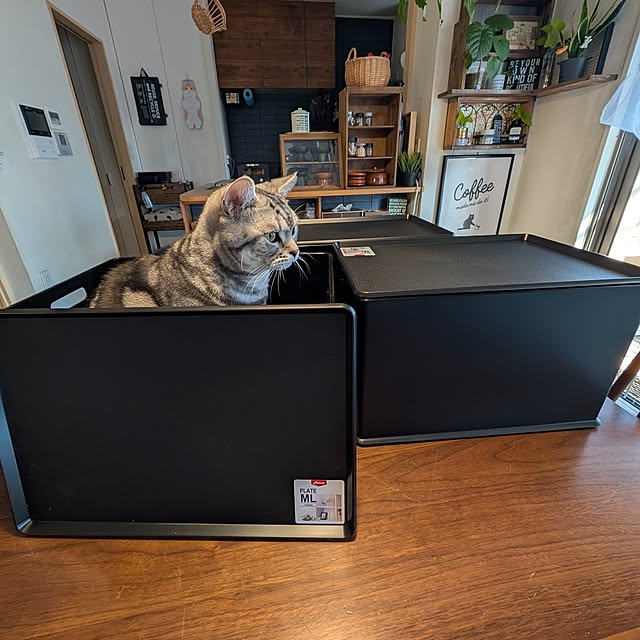 lovepeaceさんの実例写真