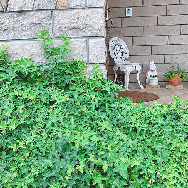 kuraさんの実例写真