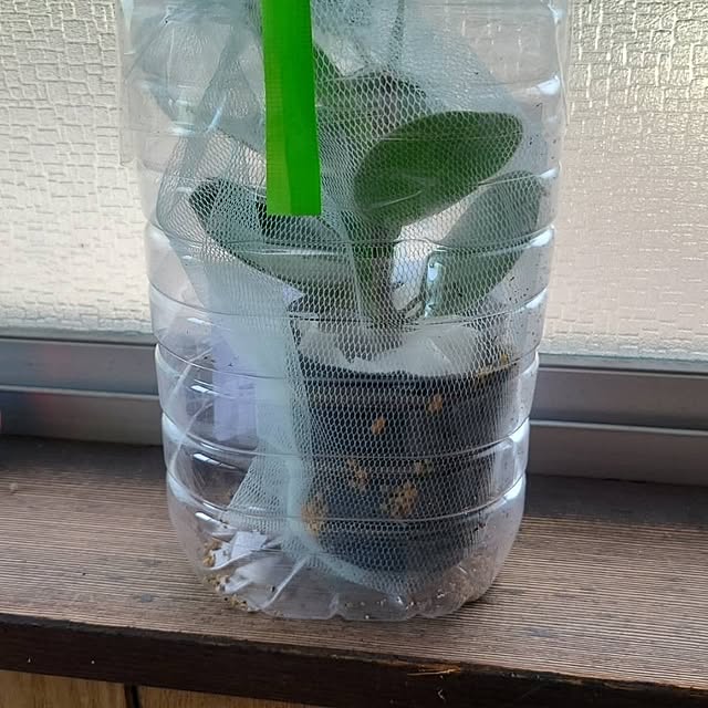 Rubiconさんの部屋