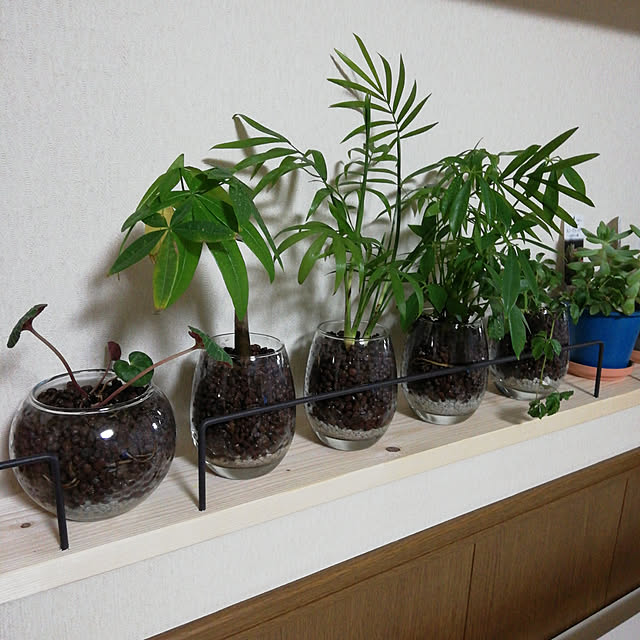 __chiri_chiri__さんの実例写真