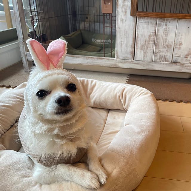 kozuさんの実例写真