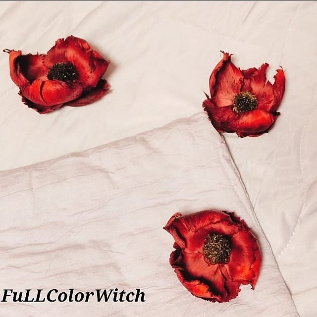 colorcolorさんの実例写真