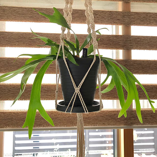 CoffeeHouseさんの部屋