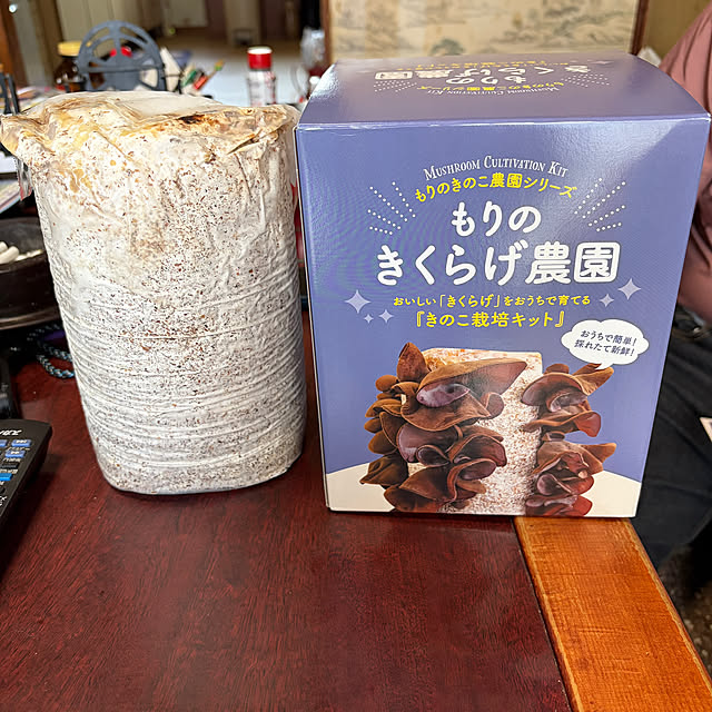 chIoeさんの部屋