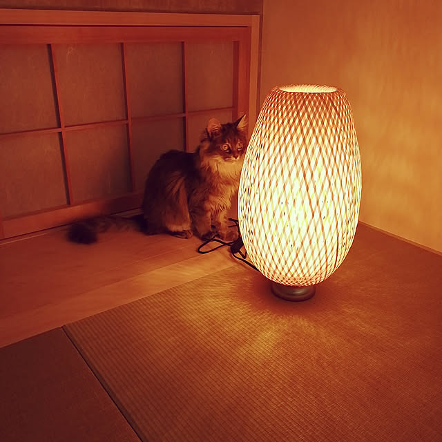 asukaさんの実例写真