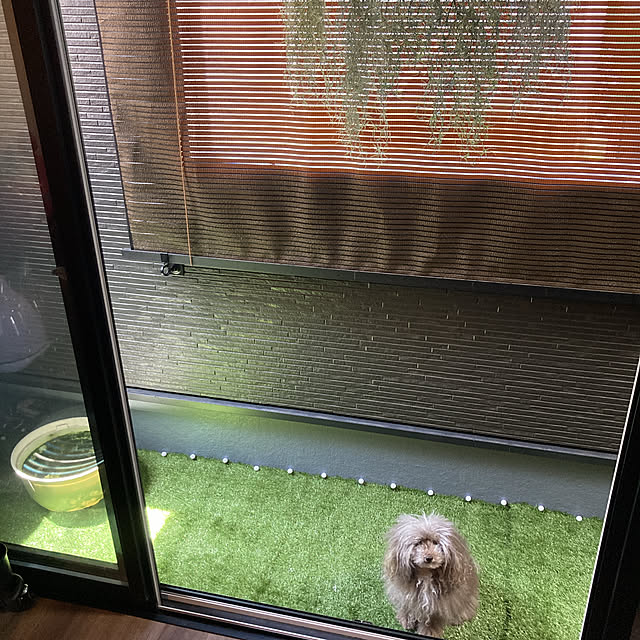 Mimmyさんの部屋