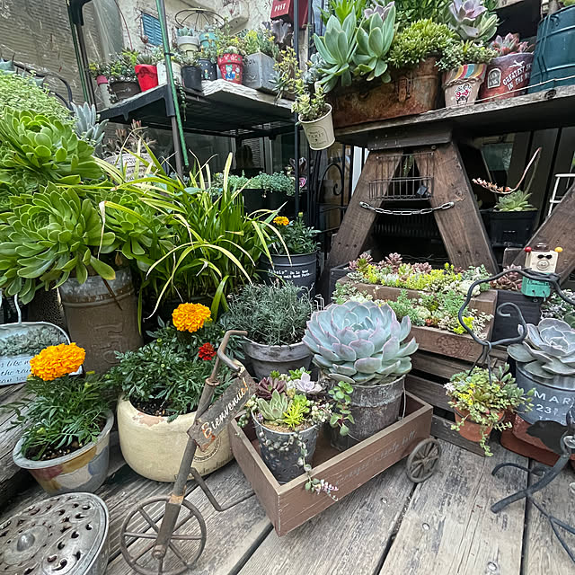 calmeさんの部屋