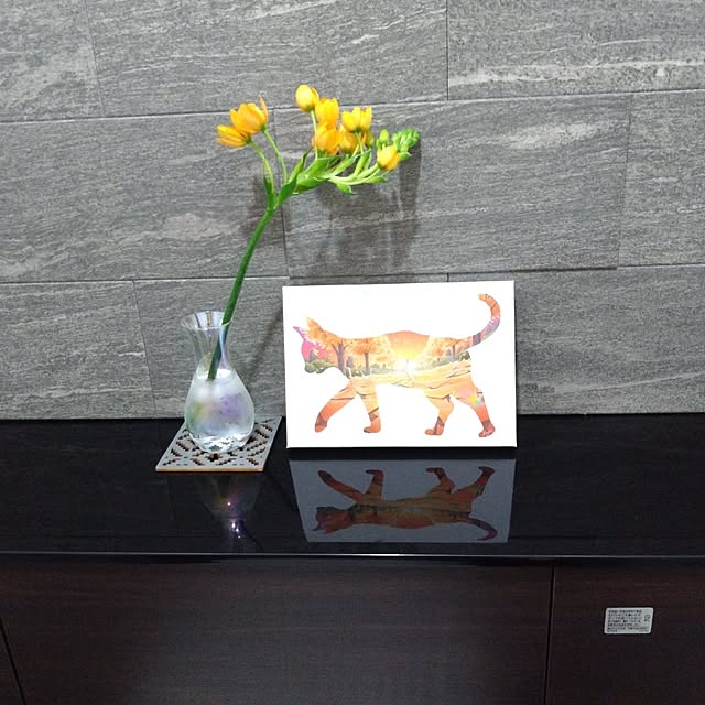 jkabmymycatさんの実例写真