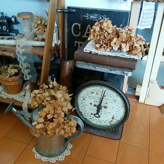 sanaさんの実例写真