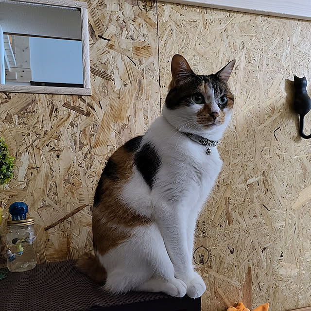 keiko11さんの実例写真