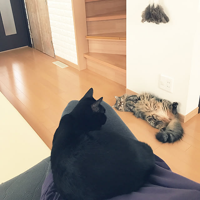yuki0511さんの実例写真