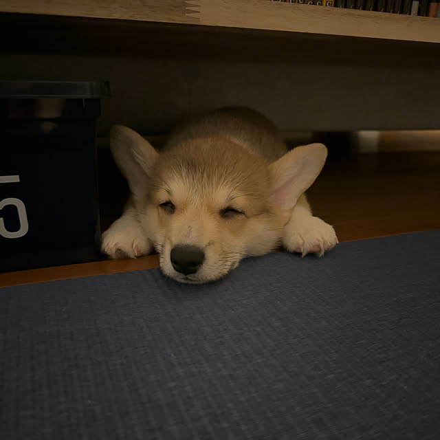 OMATSUさんの実例写真