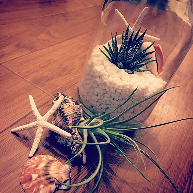 Manaさんの実例写真