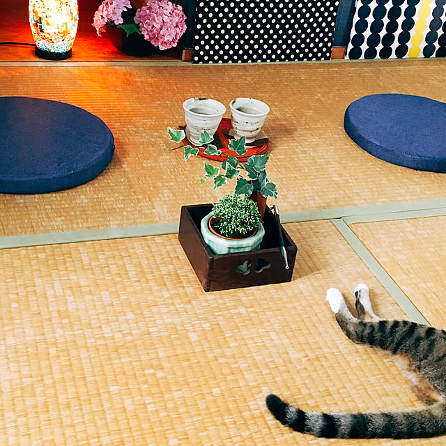 nobikoさんの実例写真