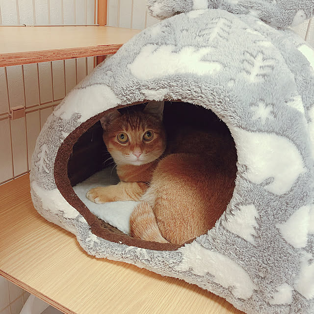 reo..m.aさんの実例写真