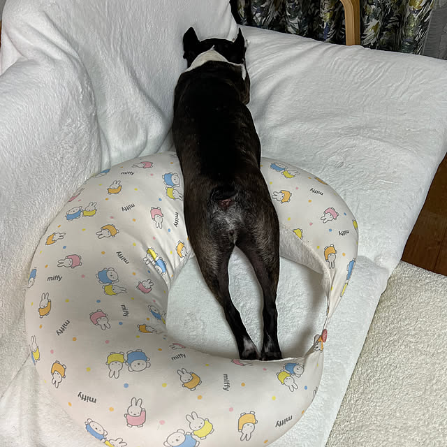 kurumeruさんの部屋