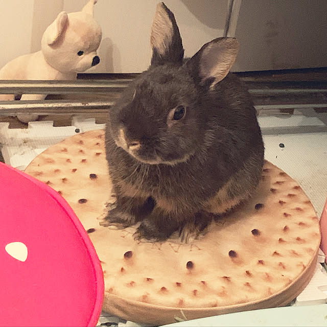 mo-nosukeさんの実例写真