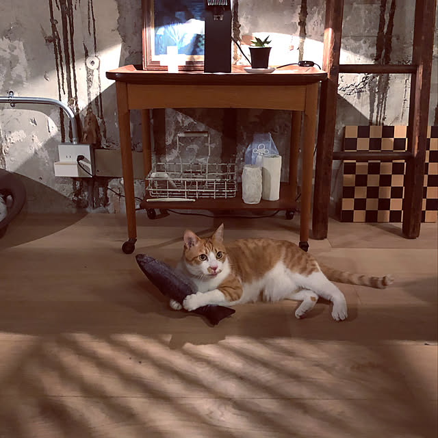 lalaさんの実例写真
