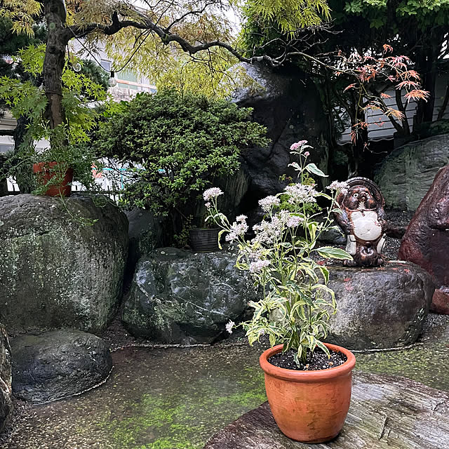 shin0719さんの実例写真