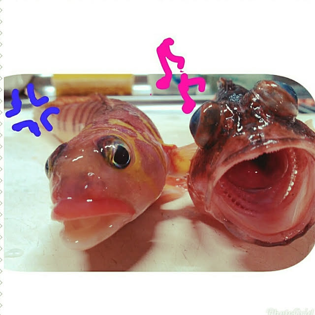 mokurenさんの実例写真