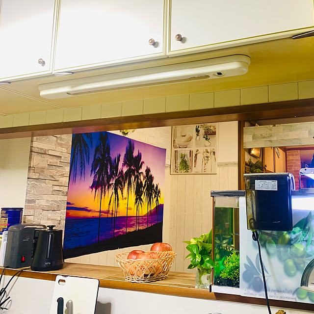 tututu0204さんの実例写真