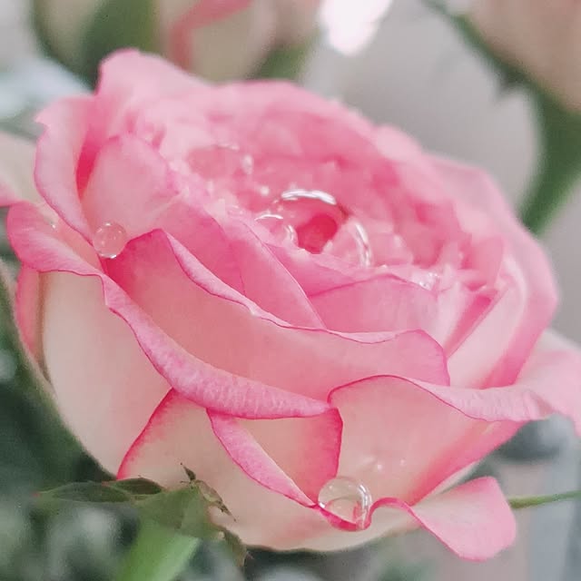 moko.7525himeさんの部屋