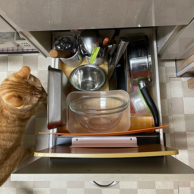 kikiさんの部屋
