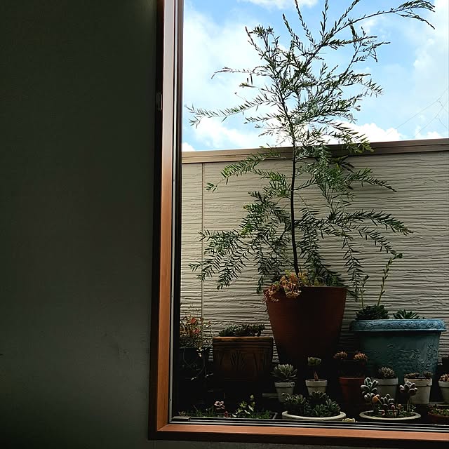 amtさんの実例写真