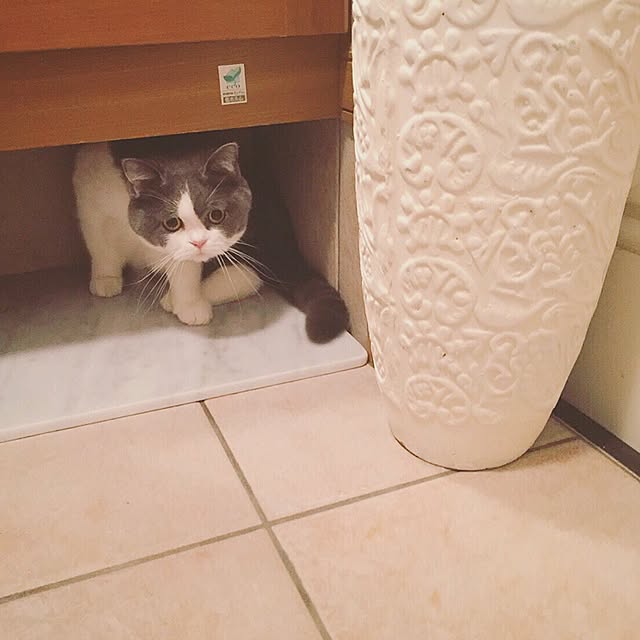 linklinkさんの実例写真