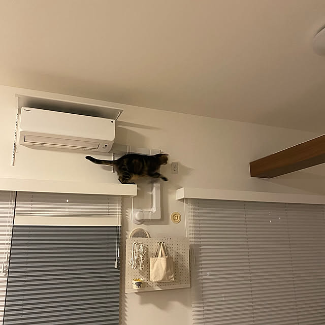 mikomaruさんの実例写真