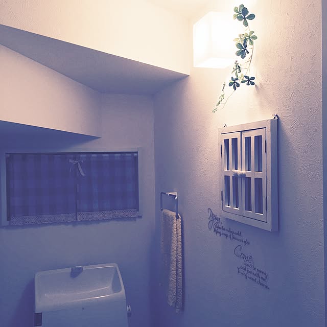 megumiさんの実例写真