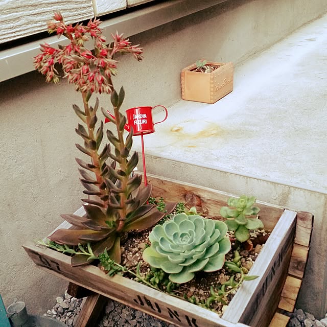 yuppeさんの実例写真
