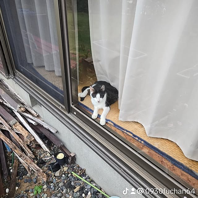 fuchan0930さんの部屋
