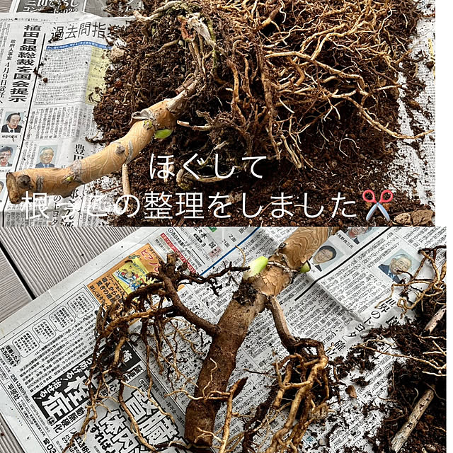 amさんの部屋